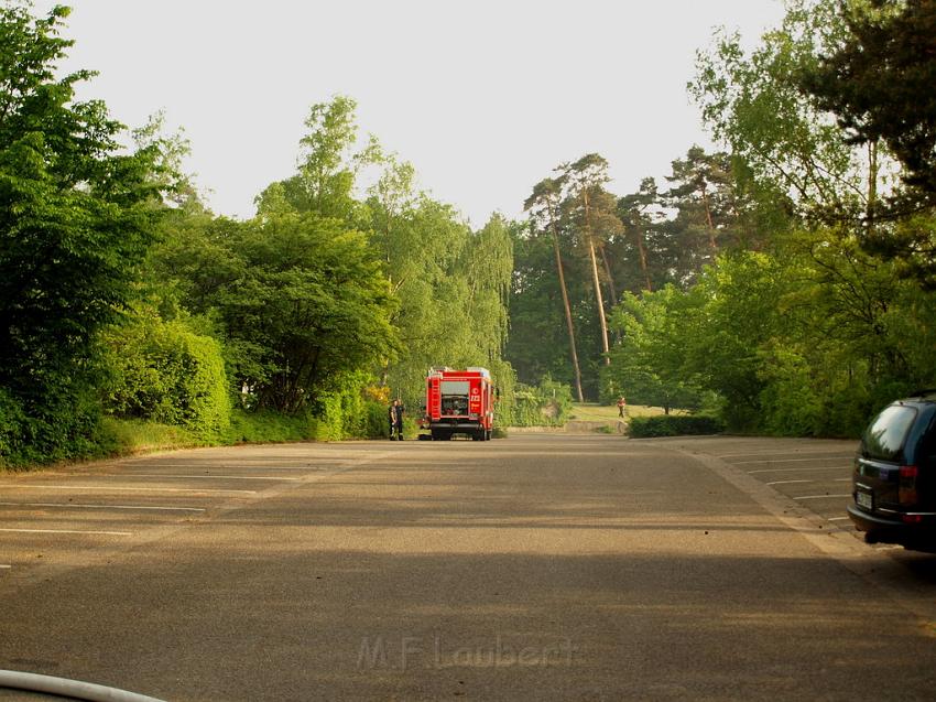 Waldbrand Bergisch Gladbach Bensberg P016.JPG